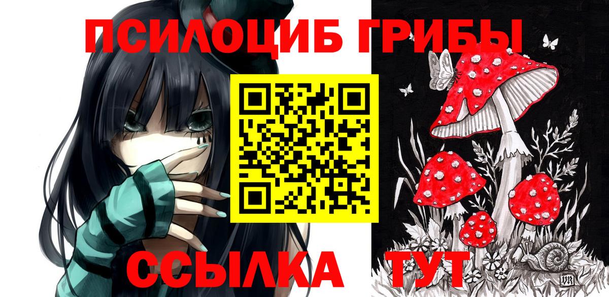 Реж  Псилоцибиновые грибы Psilocybe  Псилоцибиновые грибы мухоморы  Вход с VPN 